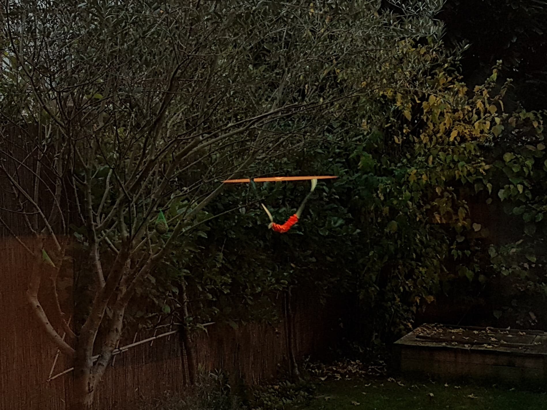 Unidentified flying object in the garden Unidentified flying object in the garden